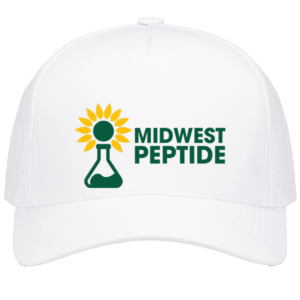 Weekender Perforated Snapback Cap